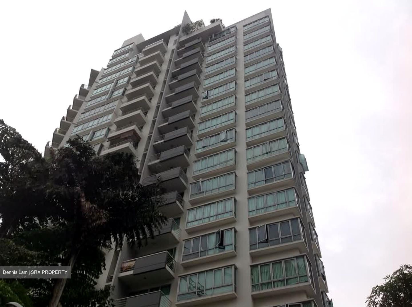Scenic Heights (D12), Apartment #565926451